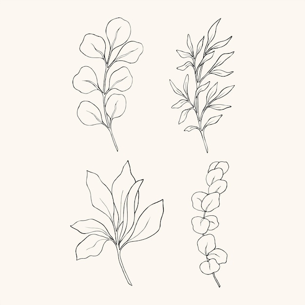 Collezione di piante decorative di schizzo