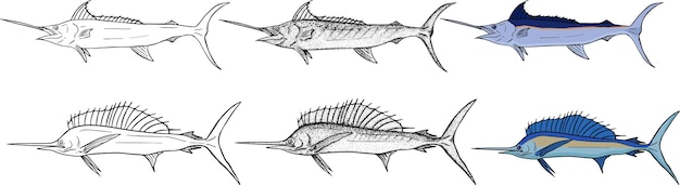 Collezione di schizzi Marlin Pesce vettoriale disegnato a mano Pesce di fiume o oceanico