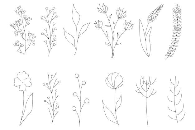 Collezione di semplici elementi floreali minimalisti. Schizzo grafico. Disegno del tatuaggio alla moda. Fiori, erba e foglie. Elementi naturali botanici. Illustrazione vettoriale. Contorno, linea, stile doodle.