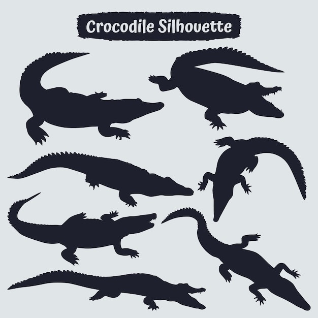 Collezione di silhouette di coccodrillo in diverse pose