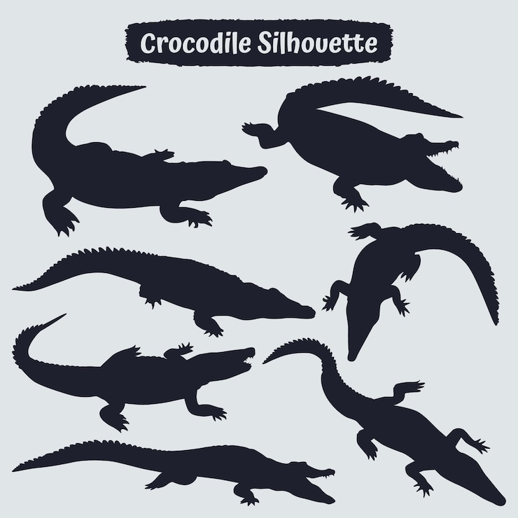 Vettore collezione di silhouette di coccodrillo in diverse pose