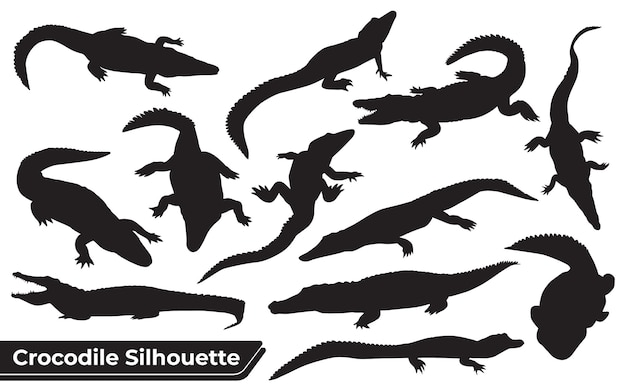 Collezione di silhouette di coccodrillo in diverse pose