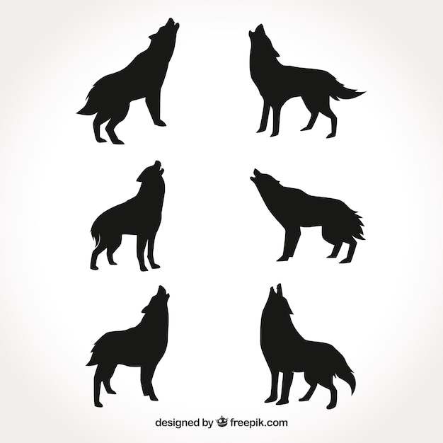 Collezione di silhouette di lupi