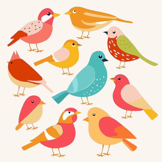 Collezione di uccelli di cartoni animati colorati illustrazione vettoriale piatta