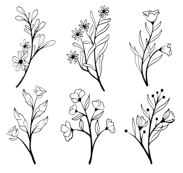 collezione di vintage floral line art