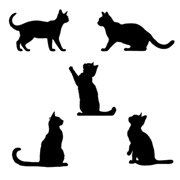 Collezione silhouette gatto Set di una silhouette gatto nero Cat tutte le azioni