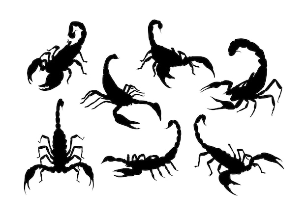 collezione vettoriale sagoma dello scorpione