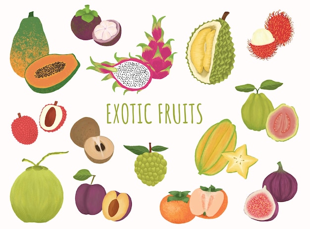 Collezioni di illustrazioni di frutti tropicali esotici