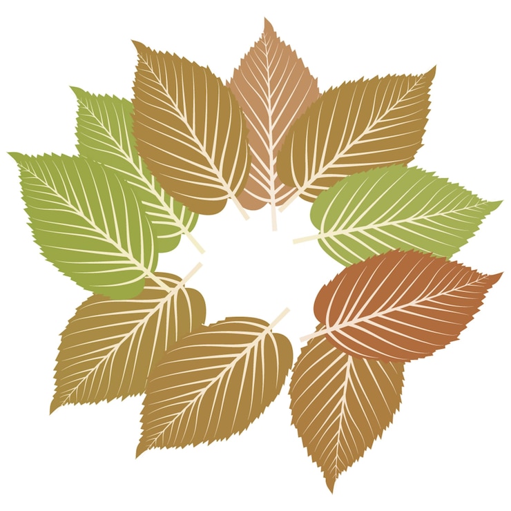 Vettore colorful flower and leaf vector design bunch una collezione di fiori e foglie