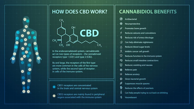 Come funziona il CBD, poster con infografiche, formula chimica del cannabidiolo ed elenco dei benefici del cannabidiolo