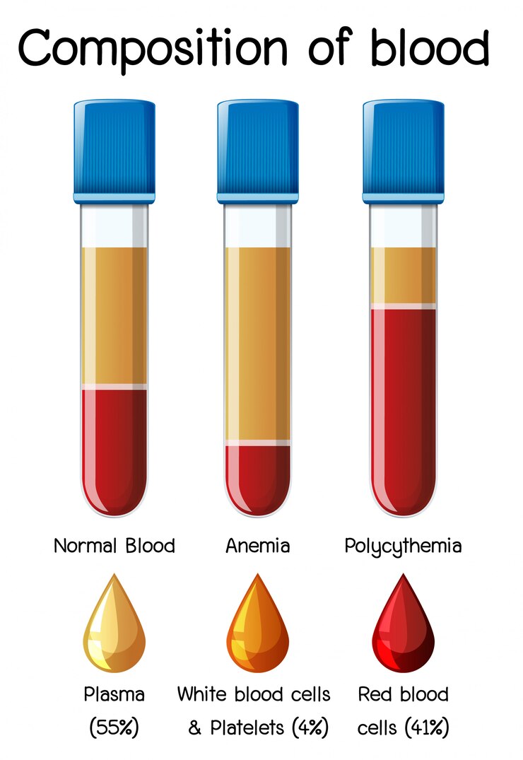 Vettore composizione del diagramma del sangue