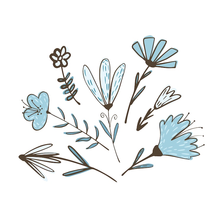 Vettore composizione di fiori su ramoscelli con fogliame su sfondo bianco. abbozzo botanico astratto colore blu disegnato a mano in stile doodle illustrazione vettoriale.