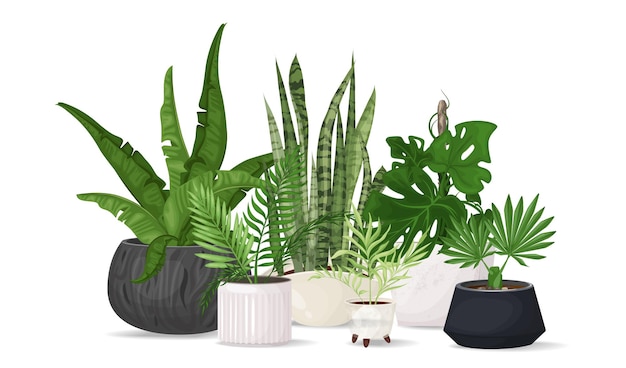 Composizione di fiori tropicali alla moda