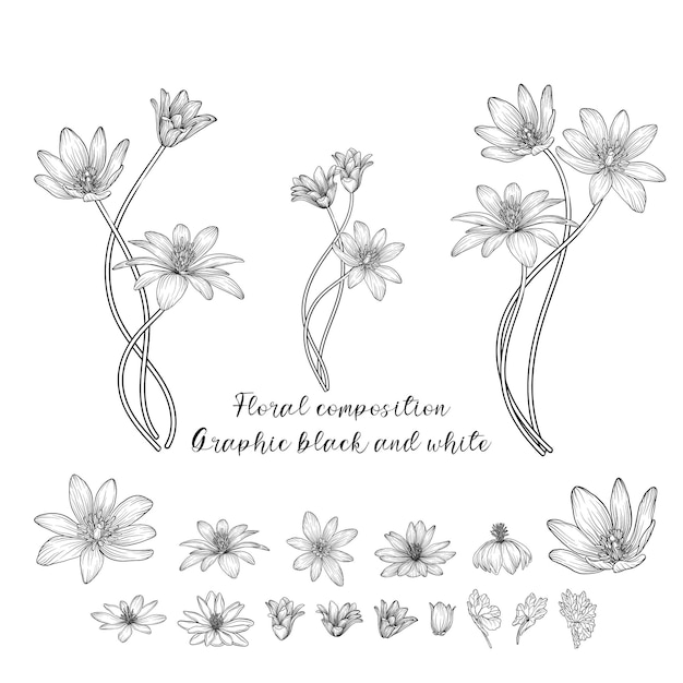 Composizione floreale grafica in bianco e nero.