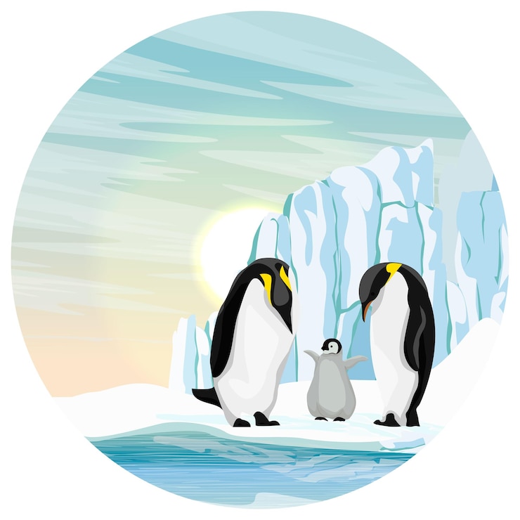 Vettore composizione rotonda la famiglia aptenodytes forsteri di pinguini imperatori in antartide