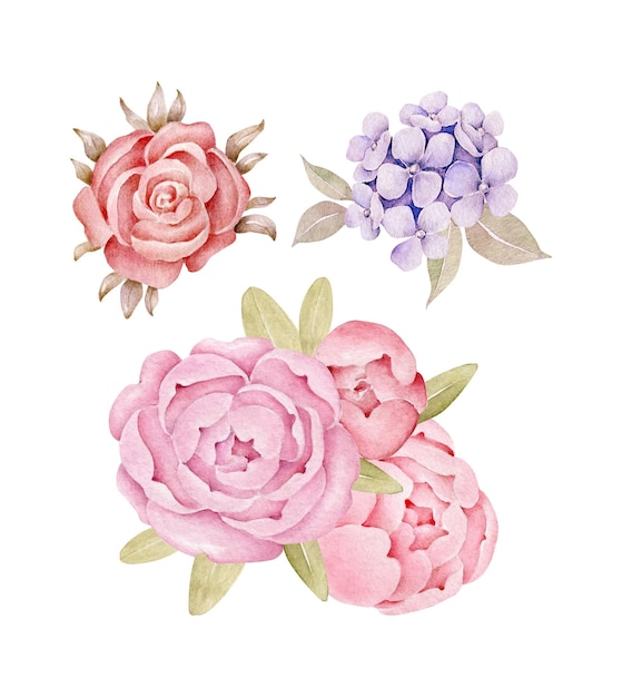 Composizioni di fiori ad acquerello