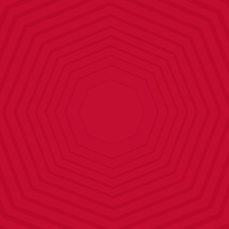 Vettore concentric hexagons in red