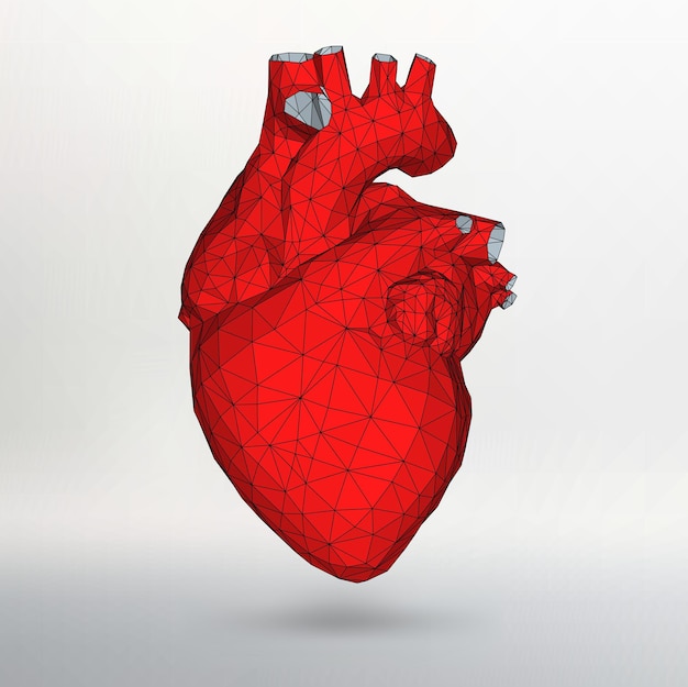Concept creativo Sfondo del cuore umano. Illustrazione vettoriale eps 10 per il tuo design.