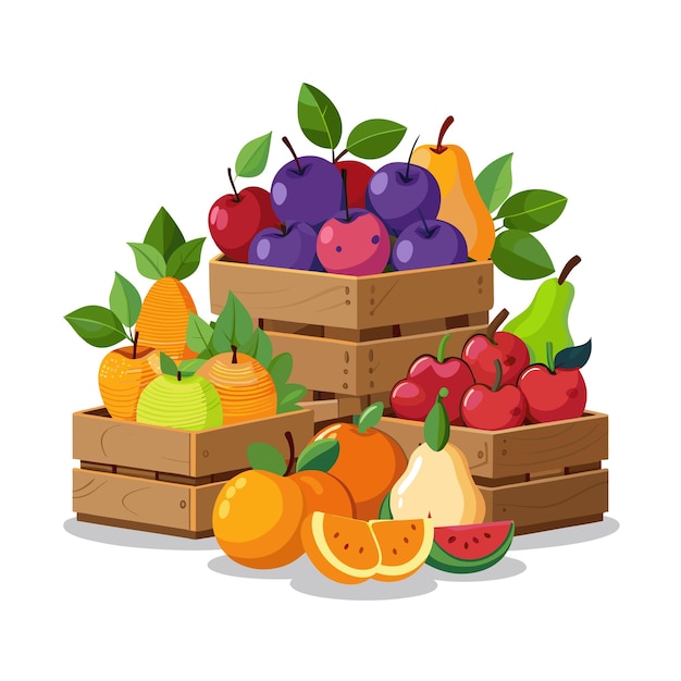 Concetti di illustrazione vettoriale di frutti realistici
