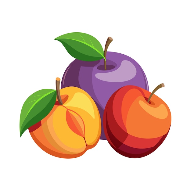 Concetti di illustrazione vettoriale di frutti realistici