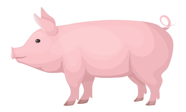 Concetto di animali da fattoria Carino divertente maiale domestico rosa di medie dimensioni Famiglia di sottospecie di cinghiale non ruminante Illustrazione vettoriale cartoon isolata