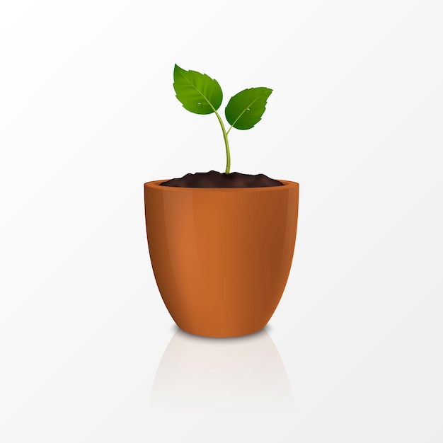 concetto di crescita. modello di icona realistica del germoglio in un vaso di fiori marrone, isolato su sfondo bianco