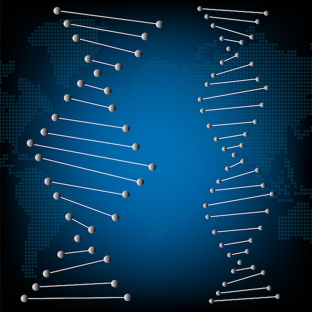 Concetto di cromosomi della struttura del DNA vector.education per la scienza chimica e la tecnologia futura