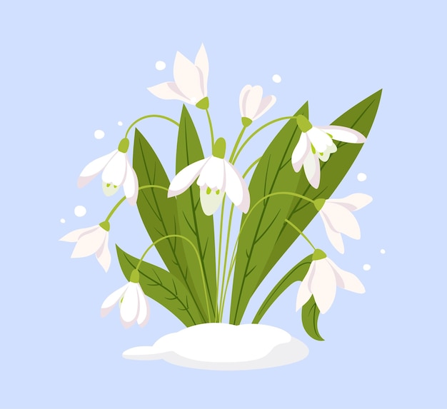 Concetto di fiori bucaneve