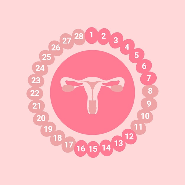 Concetto di menopausa con utero femminile