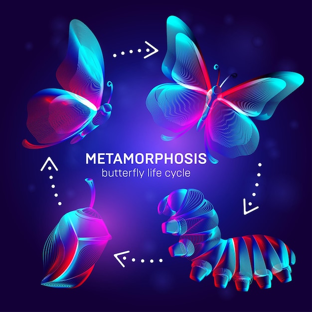 Concetto di metamorfosi. Bandiera del ciclo di vita della farfalla. Illustrazione vettoriale 3D con sagome astratte al neon stereo di insetti - fasi del processo di trasformazione di bruco, crisalide e farfalla