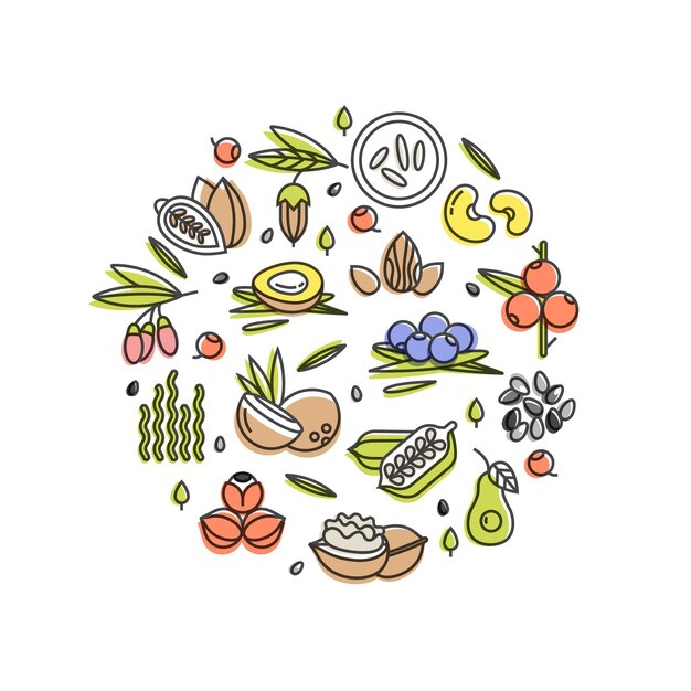 Concetto di vettore di superfood Berriesnuts verdure frutta e semi Superfood organici per la salute Integratori disintossicanti e dimagranti