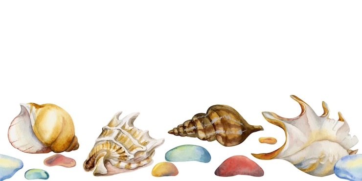Vettore conchiglia dell'acquerello disegnato a mano stella marina di vetro di mare colorato banner orizzontale senza soluzione di continuità isolato su sfondo bianco design per wall art matrimonio stampa tessuto copertina carta turismo libretto di viaggio