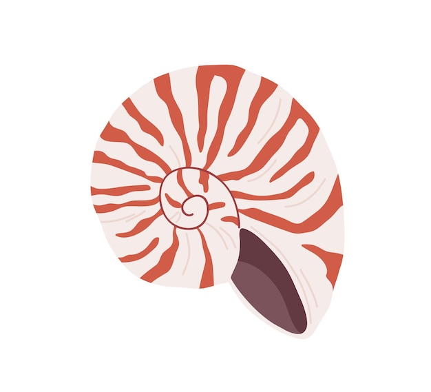 Conchiglia di lumaca. Conchiglia di mare vorticosa subacquea marina di forma rotonda a spirale. Mollusco sottomarino. Mollusco, crostacei. Vongola striata bicolore sott'acqua. Illustrazione vettoriale piatta isolata su sfondo bianco