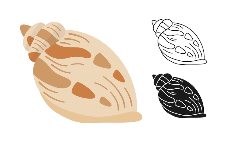 Vettore conchiglie cartone animato timbro contorno set icona oceano conchiglia marina a spirale conchiglia mollusco lavello. disegno vettoriale