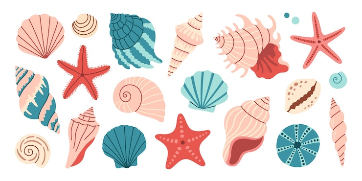 Vettore conchiglie di mare molluschi stelle di mare illustrazione piana di moda di collezioni di conchiglie isolate