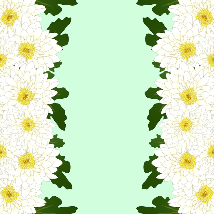 Vettore confine di fiori di crisantemo