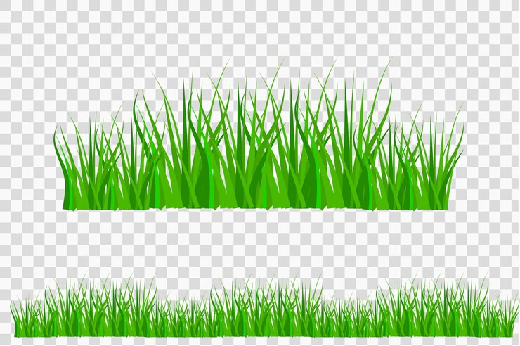 Vettore confine erba estate sfondo naturale erba verde illustrazione vettoriale eps 10 stock immagine