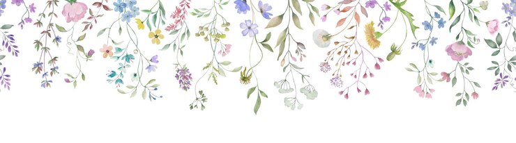Vettore confine in acquerello senza cuciture illustrazione floreale disegnata a mano isolata su sfondo bianco vettore eps