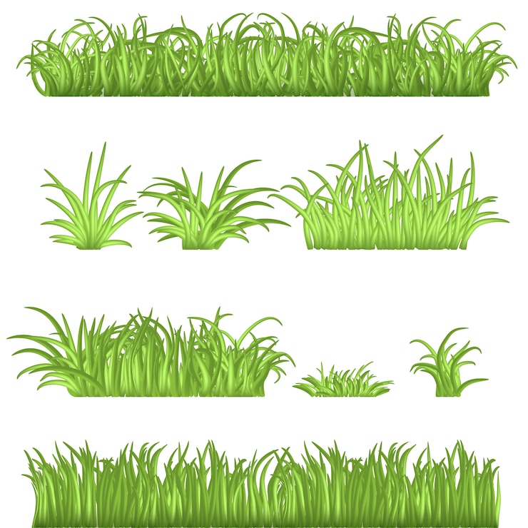 Vettore confini dell'erba verde della primavera messi. illustrazioni isolate