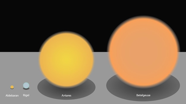 Confronto delle dimensioni delle stelle Infografica vettoriale