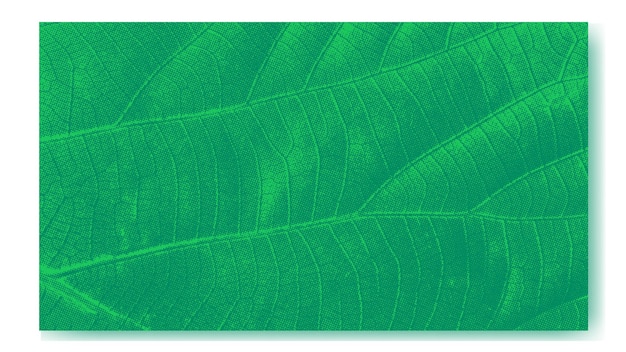 consistenza delle foglie verdi natura sfondo botanico
