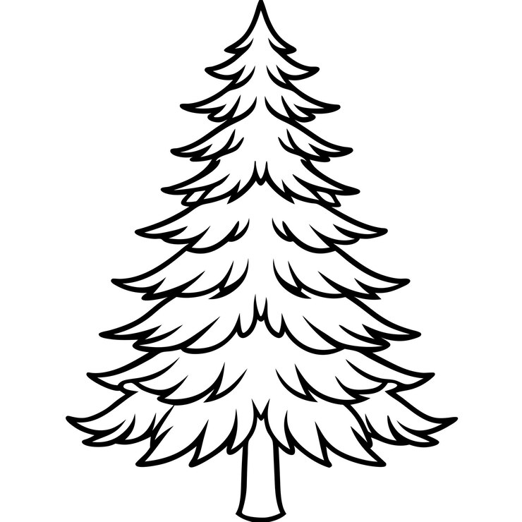 Vettore contorno di albero di pino colorazione libro pagina linea arte illustrazione disegno digitale
