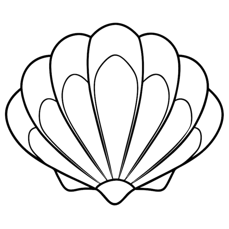 Vettore contorno di conchiglie da colorare pagina del libro per bambini disegno line art isolato su sfondo bianco