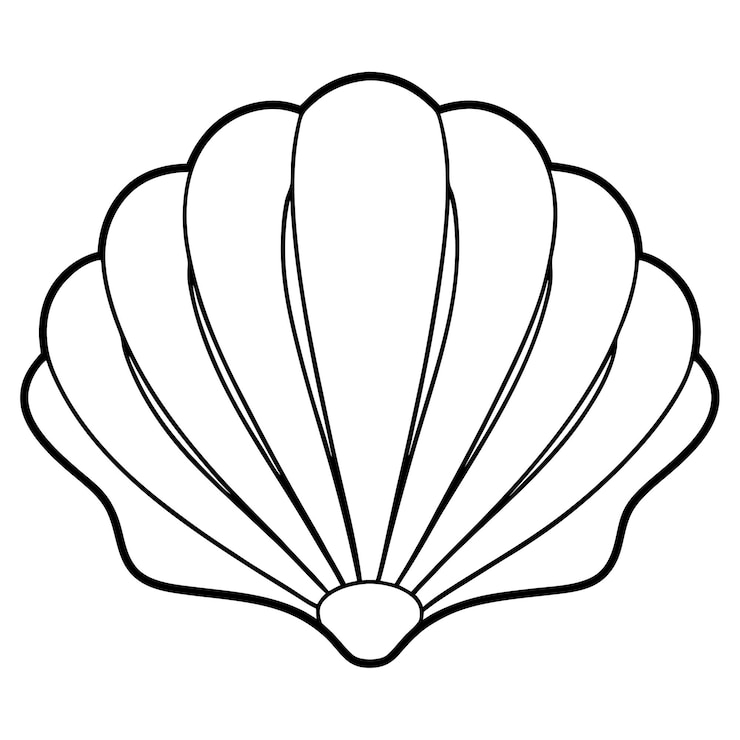 Vettore contorno di conchiglie da colorare pagina del libro per bambini disegno line art isolato su sfondo bianco