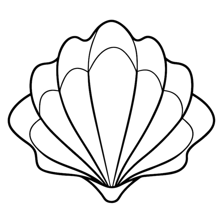 Vettore contorno di conchiglie da colorare pagina del libro per bambini disegno line art isolato su sfondo bianco