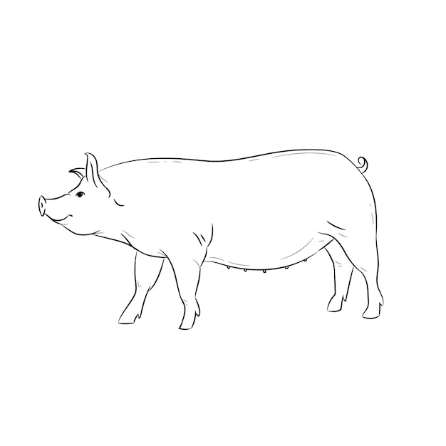 Contorno di maiale design piatto disegnato a mano