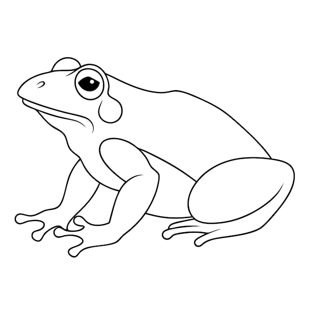 Contorno di rana dei cartoni animati seduta immobile Stile disegnato a mano Illustrazione in bianco e nero Disegno
