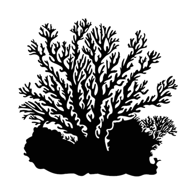 coralli marini e alghe nere silhouette vettore isolato