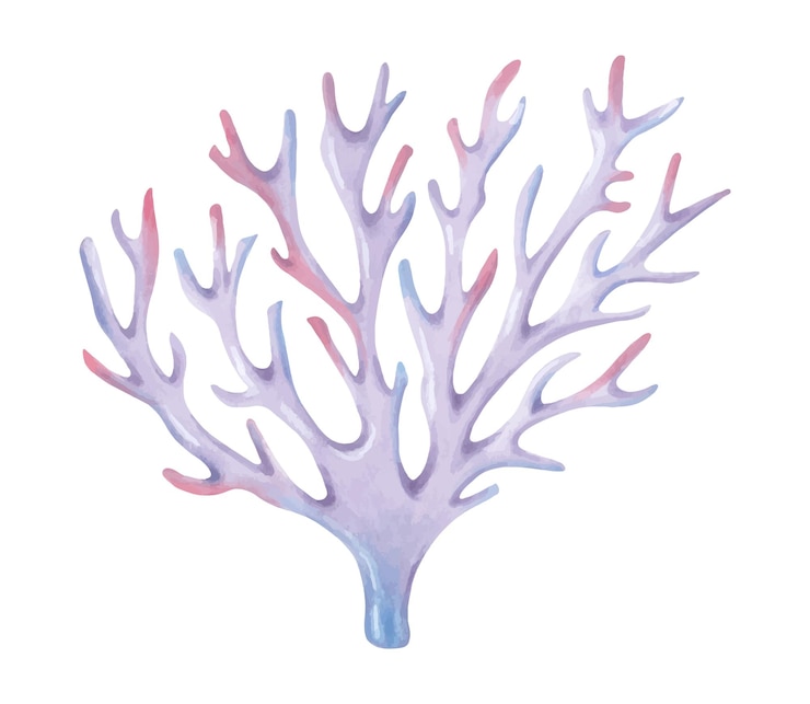 Vettore coralli ramificati illustrazioni ad acquerello e marcatori barriere coralline oceaniche animali sottomarini del fondo marino arte isolata disegnata a mano natura esotica sottomarina ecosistema marino per guide di viaggio cosmetici