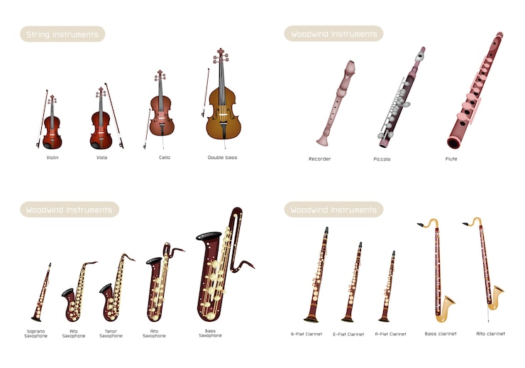 Vettore corde strumento e strumento woodwind sul set di sfondo bianco